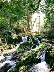 【福井県】景勝地からおしゃれカフェまで！魅力を大放出