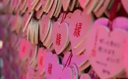 犬山を訪れたら神社でご利益を！人気から穴場まで6選ご紹介♪