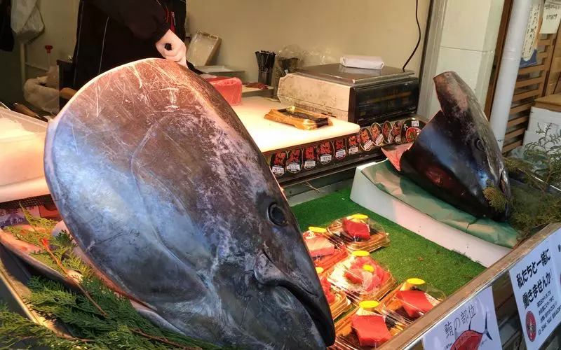 【観光時間 9:00頃】築地の絶品朝ごはんで腹ごしらえ♡ 1枚目