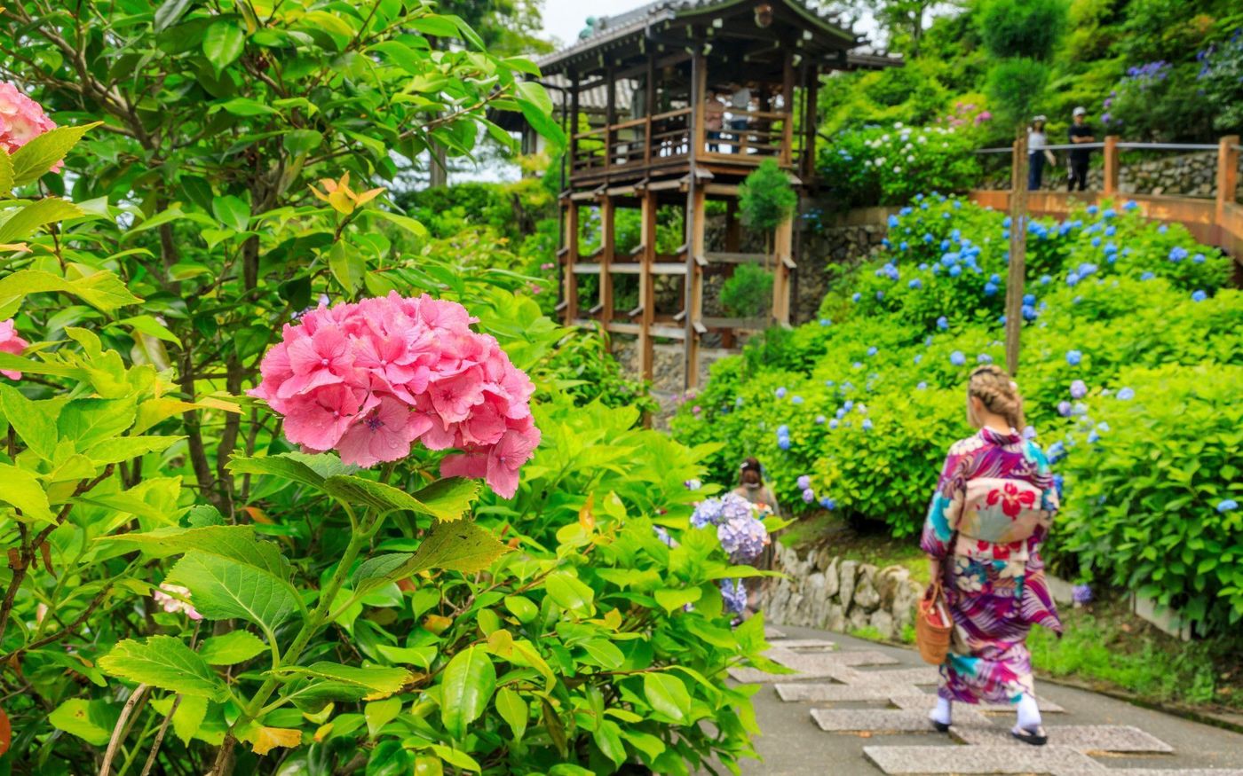 の画像