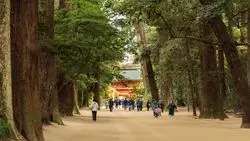 【茨城】御利益絶大！？パワースポット東国三社を巡る旅♪