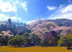 新しくなった伊勢神宮へまわりゃんせ♡ようこそお伊勢さんへ！
