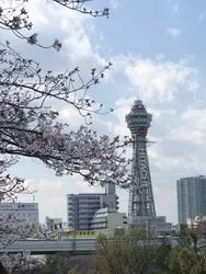 【大阪】通天閣の桜と大阪私立美術館