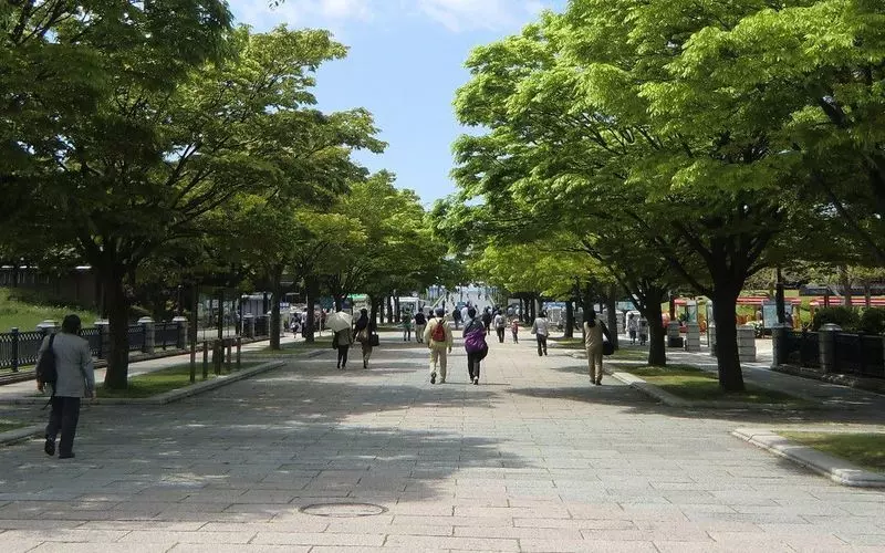 春には桜の並木道が葛西臨海公園のシンボル 1枚目