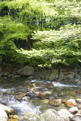 都心からもアクセス◎！栃木市からすぐの日帰り温泉６選♪
