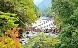 祖谷のホテルならここ！四国の秘境への満喫旅におくる厳選6選♡