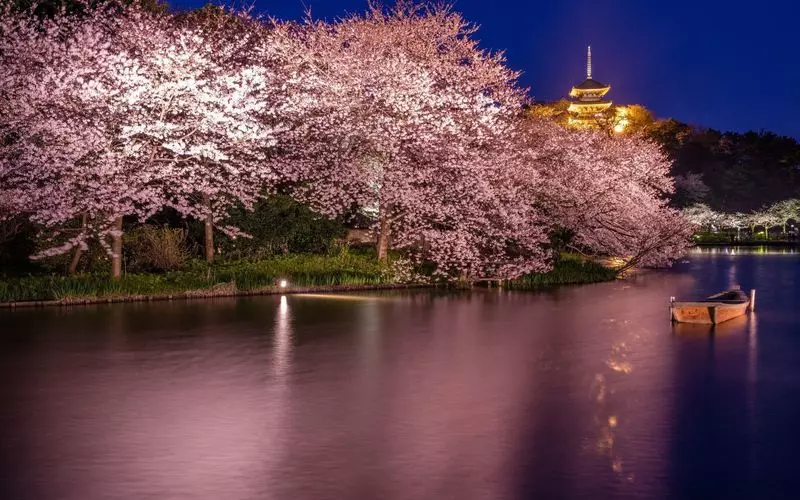 3．三渓園：横浜の美しい日本庭園をぶらりひとり旅♪ 3枚目