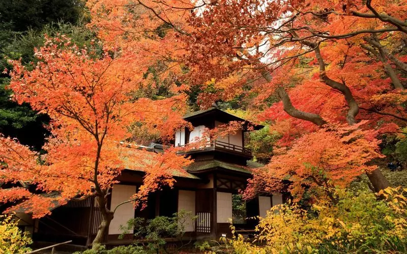 3．三渓園：横浜の美しい日本庭園をぶらりひとり旅♪ 2枚目