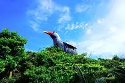 この絶景を独り占め♡沖縄北端、巨大ヤンバルクイナに会いに行こう