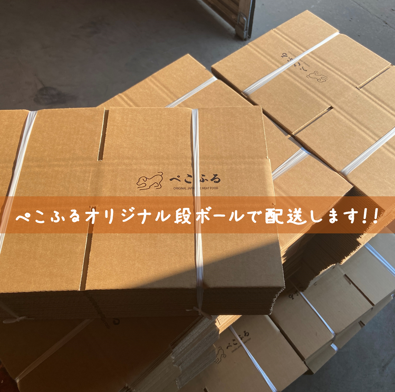 “食べる想い出”を作る国産ドッグフード「ぺこふる」を紹介	の画像