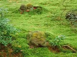 モフモフの【苔の美しい庭園】！京都で緑色の世界に包まれよう♡