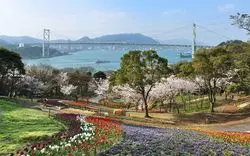 【2025春】海峡の街・下関でお花見！必見おすすめスポット8選