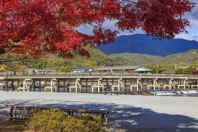 10. 嵐山｜大人女子旅に人気！人力車で自然を楽しむ 1枚目