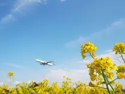 大迫力！成田空港周辺で飛行機が見える公園4選♪