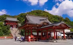 鎌倉観光をもっと面白くする、鶴岡八幡宮の見どころをご紹介！