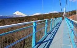 スリル満点の「三島スカイウォーク」の魅力とアクセス方法をご紹介◎
