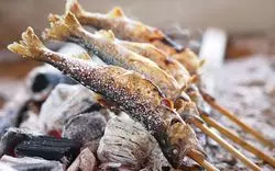 【秋川国際マス釣場】初心者も安心◎秋川で本格釣り体験！