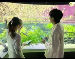 謎だらけの水族館？カワスイ 川崎水族館がおくる、新感覚の謎解きゲーム