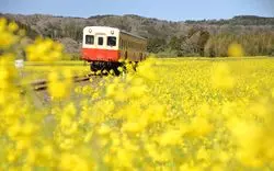 千葉の絶景観光スポット♡カメラを片手にフォトジェニックスポットを巡ろう