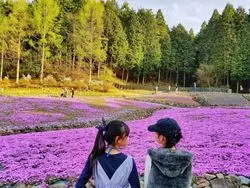 【兵庫】寄り道しながら！お花のじゅうたんに囲まれて…♡
