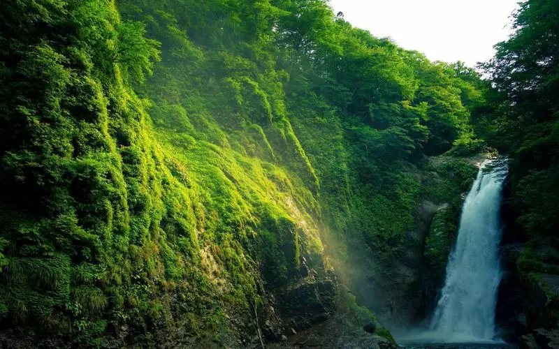 10. 四季折々の表情を楽しめる宮城の観光地！「秋保大滝」 1枚目