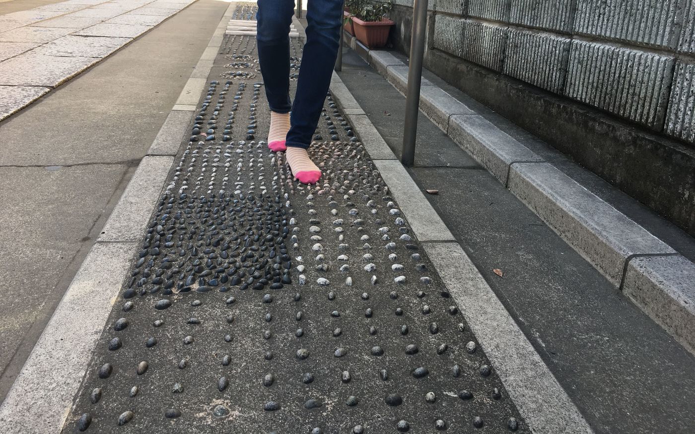 の画像