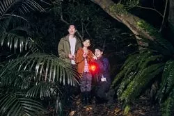 『星野リゾート　西表島ホテル』が推進する「ナイトタイムエコノミー」を紹介