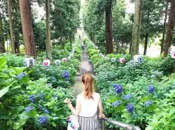まだ間に合う！栃木県お花巡り♡5月〜初夏編