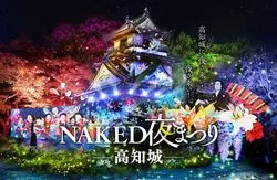 冬の高知観光おすすめスポット7選！イルミネーションイベントも紹介