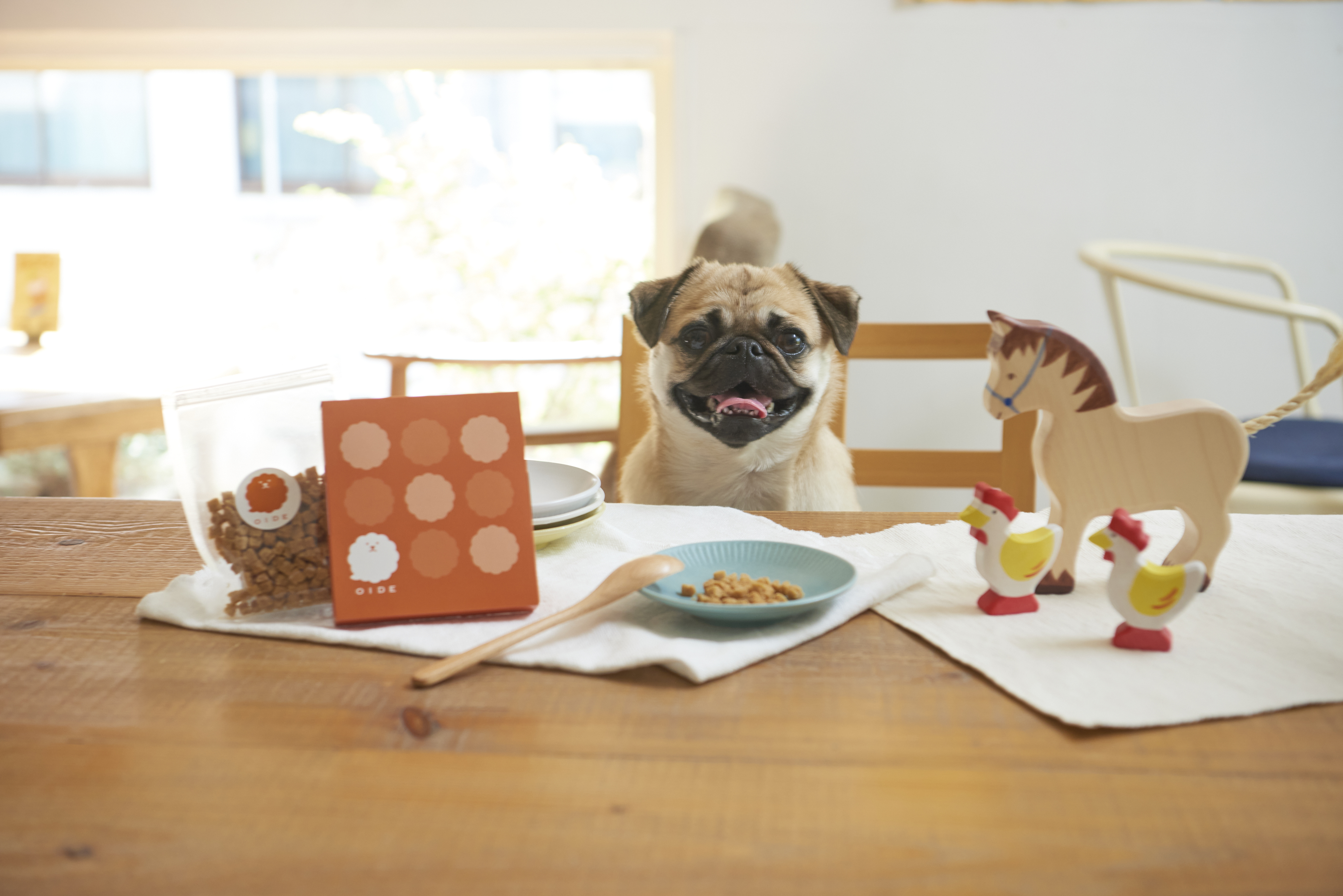 シニア犬をサポートするおすすめおやつ20選！柔らかく食べやすいものや無添加の商品を紹介の画像