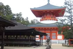 【和歌山・高野山】見て触れて感じる！世界遺産の街へ行ってみよう！