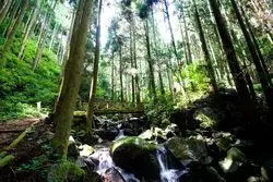 【福岡】森林セラピーを満喫♪浮羽の避暑地へ行こう
