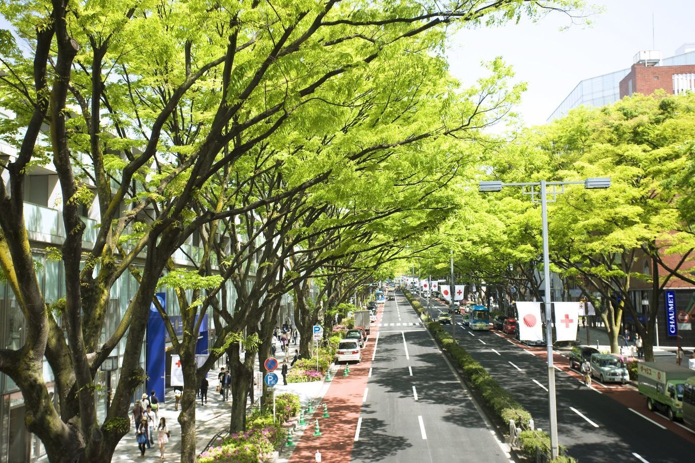 表参道ランチおすすめランキング☆の画像