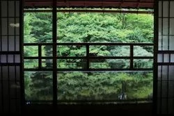 【滋賀】青もみじと苔の緑がインスタ映え！穴場スポット「旧竹林院」