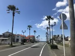 【館山】海鮮…だけじゃない！タクシーの運転手さんおすすめランチ♡