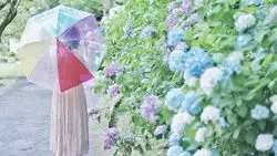 【奈良】梅雨にお出かけ！奈良の紫陽花スポットをご紹介♪
