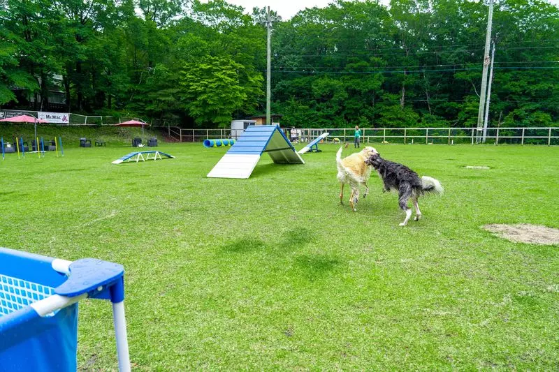 大自然の中で愛犬も楽しみ放題! 1枚目