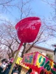 【千葉】1度は見たい桜の名所♡常盤平のさくらまつりに行こう♪