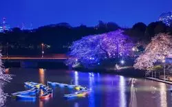 【東京】次のデートはどこへ行く？ボートに乗って素敵な時間を過ごそう