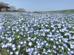 【福岡】お子様連れでも◎海ノ中道海浜公園を満喫しよう！