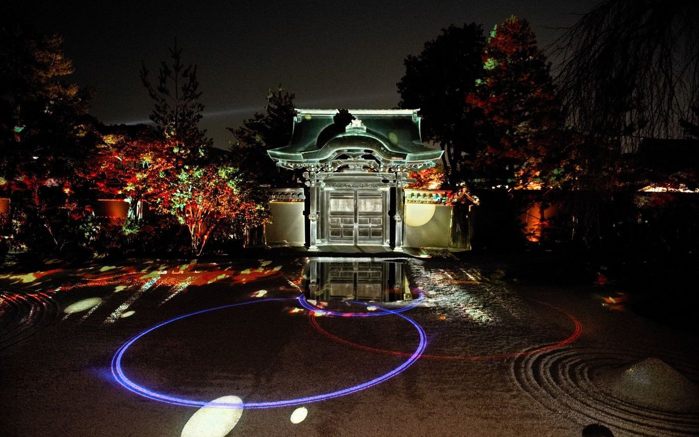 の画像