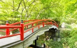 【群馬】充実ひとり旅♡1人でも行きたい群馬おすすめ観光コース4選