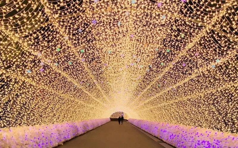 11. 三重｜日本有数のイルミネーションスポット！GWも開催「なばなの里」 1枚目