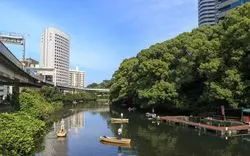ビジネス街・赤坂で、コスパ◎な日曜ランチをするならここ！【5選】