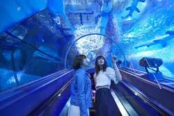 【私のアノ日の秘密兵器】フォトジェニ女子旅記。快適旅のすゝめ♡