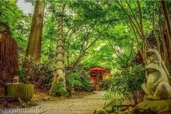 【2026年最新】福岡「かえる寺」如意輪寺の魅力ガイド！風鈴まつりやあじさいなど見どころたくさん