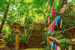 【福岡】かえるだらけのお寺！？あじさいと風鈴の音に癒やされて♪