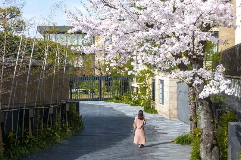 【関西の穴場絶景スポット】京の春を独り占め!サクラで愛でるエレガントステイを謳歌「ザ・ホテル青龍 京都清水」PR 1枚目