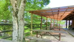 【福岡】穴場！暑い日には涼を求めて川遊び♡