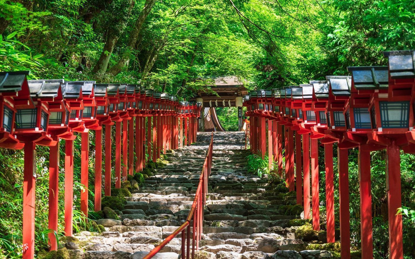 の画像